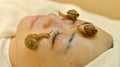 Escargot