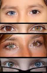 Yeux vairons